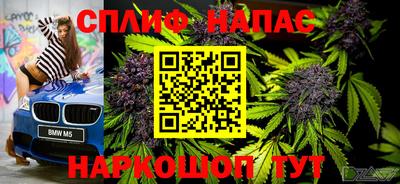 прущие грибы Малоярославец