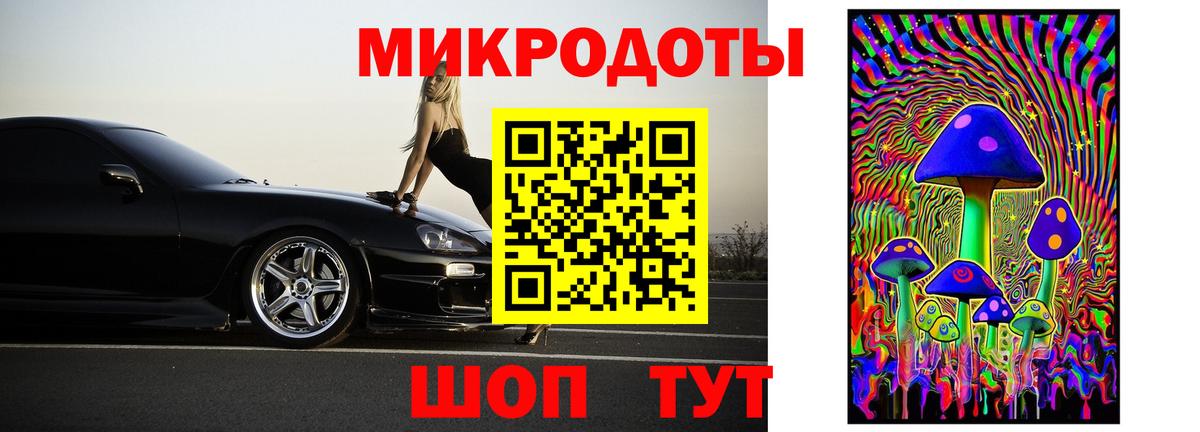 Псилоцибиновые грибы прущие грибы Горно-Алтайск